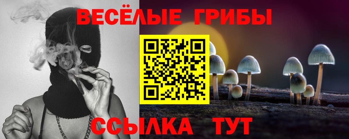 Псилоцибиновые грибы GOLDEN TEACHER Гусь-Хрустальный